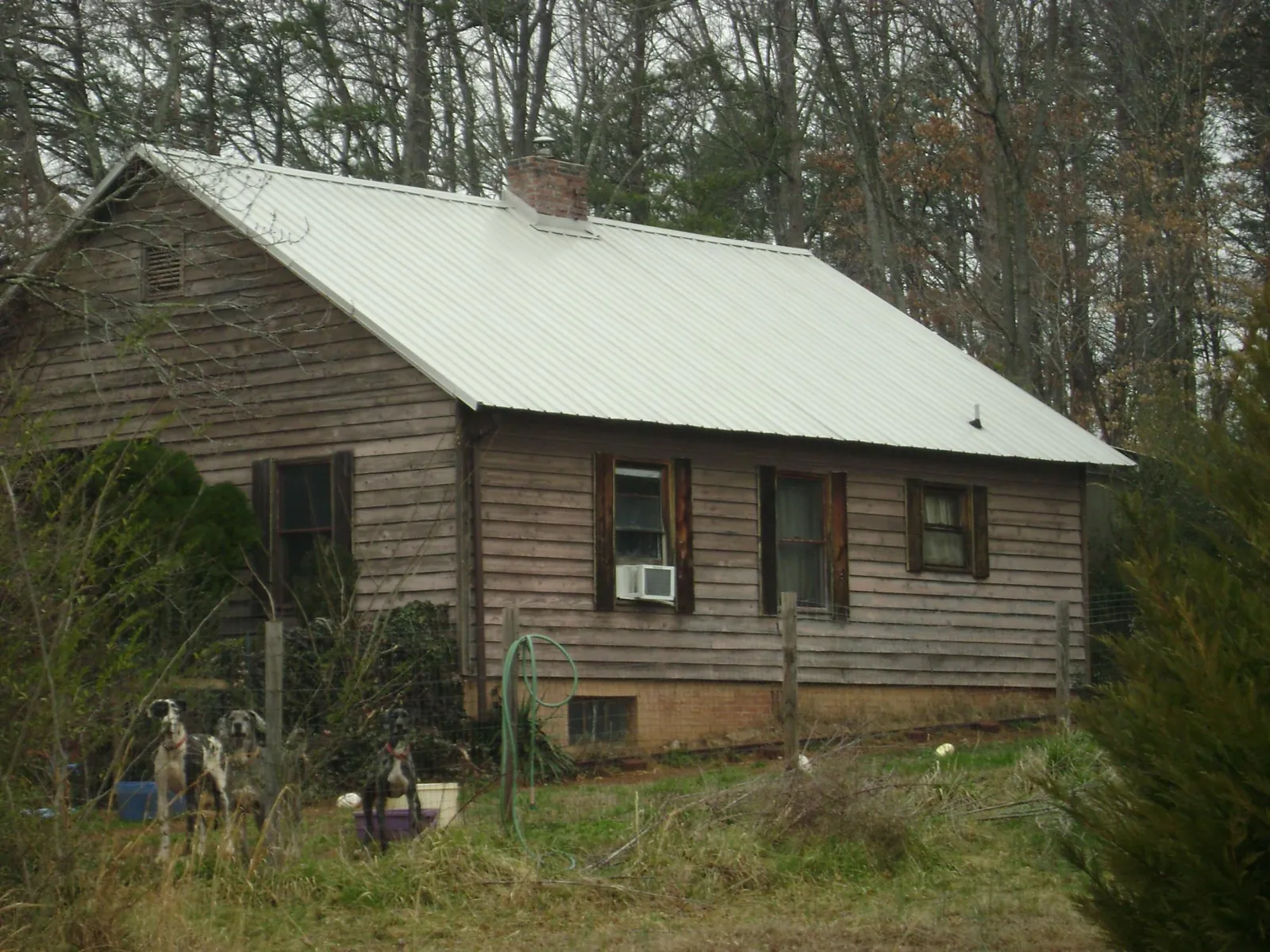 White metal roof on an old wood sided farmhouse, from a Metal Roof Installation job in Yachats